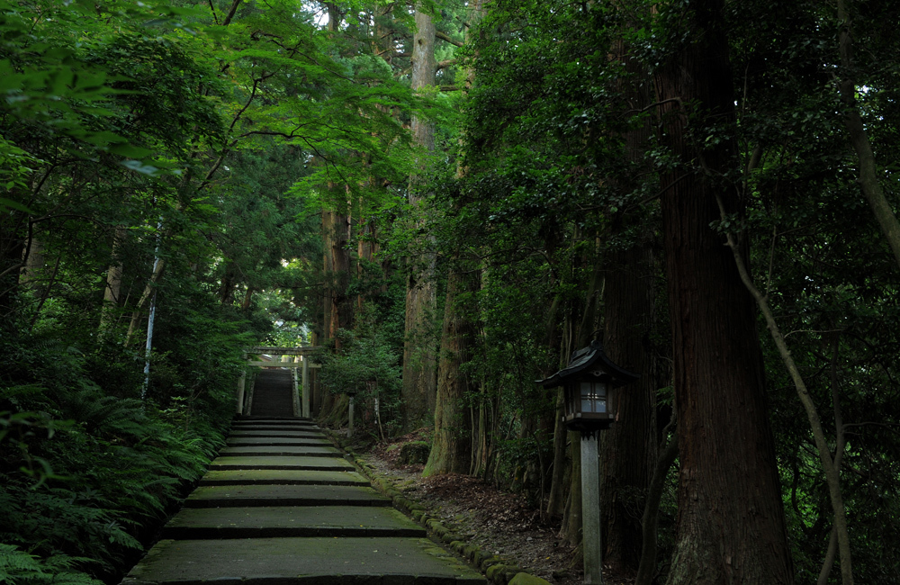 表参道でのロケーション撮影
