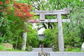 【1700年の歴史を持つ縁結びの神様】　古来より縁結びの神様（玉依姫尊など）を祀る神社として、男女の良縁だけでなく、家族や周囲との「ご縁」を強く結ぶ場所として有名。小さな結婚式だけ！特別PLANでご案内！