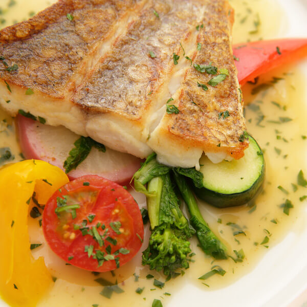 トラットリアカンパニオ TRATTORIA Companioのお料理について