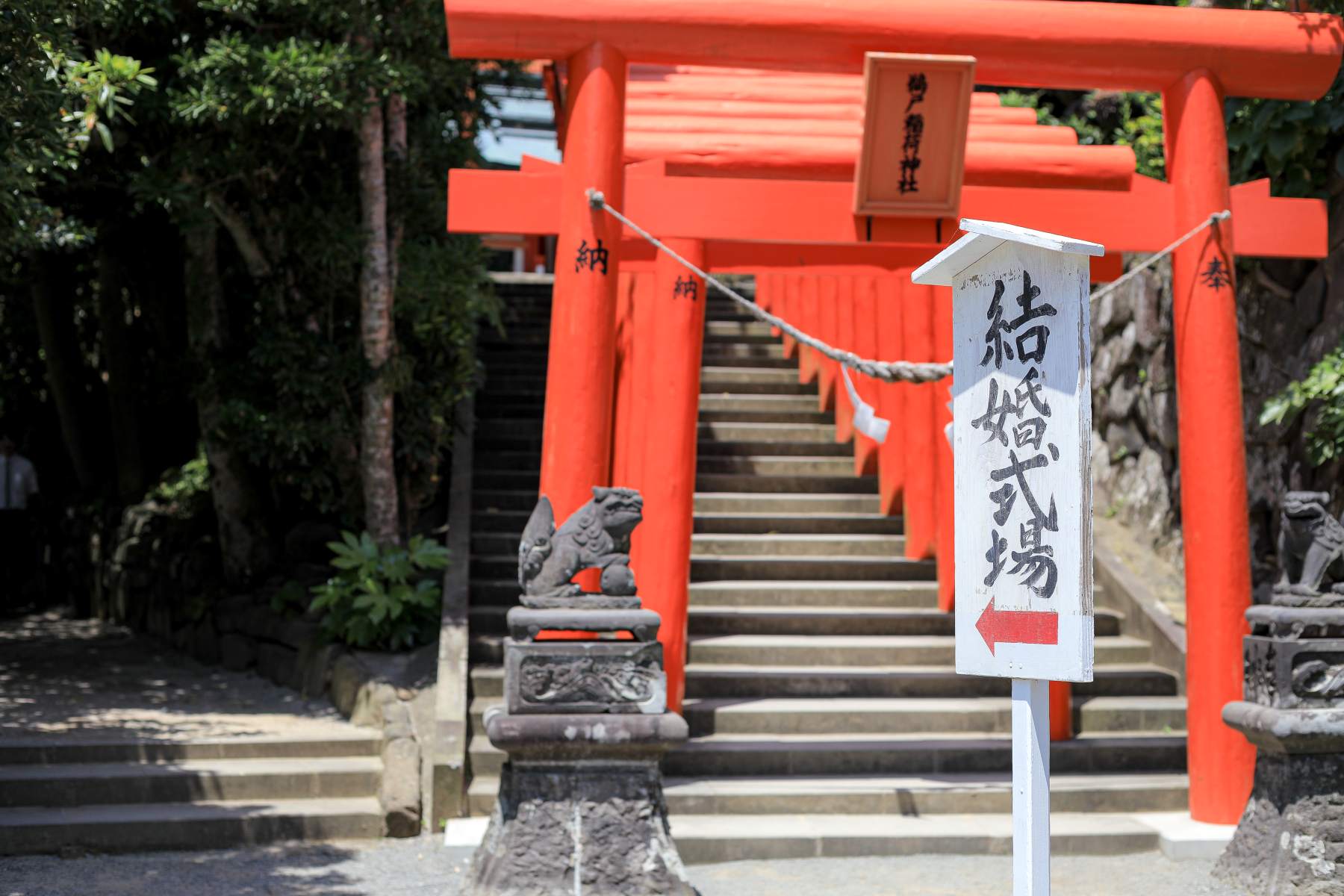 鵜戸神宮