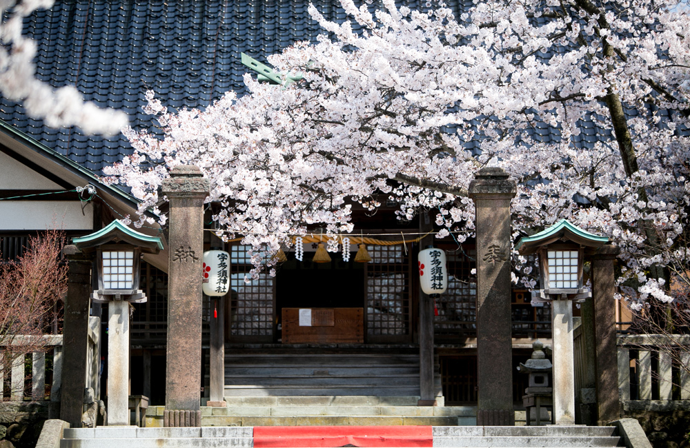 春の桜や秋の紅葉も楽しめ、和装が映える