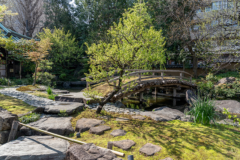 湯島天満宮の境内では、季節ごとにさまざまな自然の景色を楽しむことができます。特に早春には梅が咲き誇り、毎年開催される文京梅まつりの時期には多くの人が訪れる、東京屈指の梅の名所としても知られています。