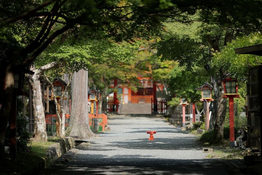 事前打合わせだけでなく、結婚式当日もお支度から現地まで専属プランナーが常に寄り添い、ご家族の案内まで丁寧に対応。移動や受付などもスムーズなため、皆様に安心して特別な一日をお過ごし頂けます！
