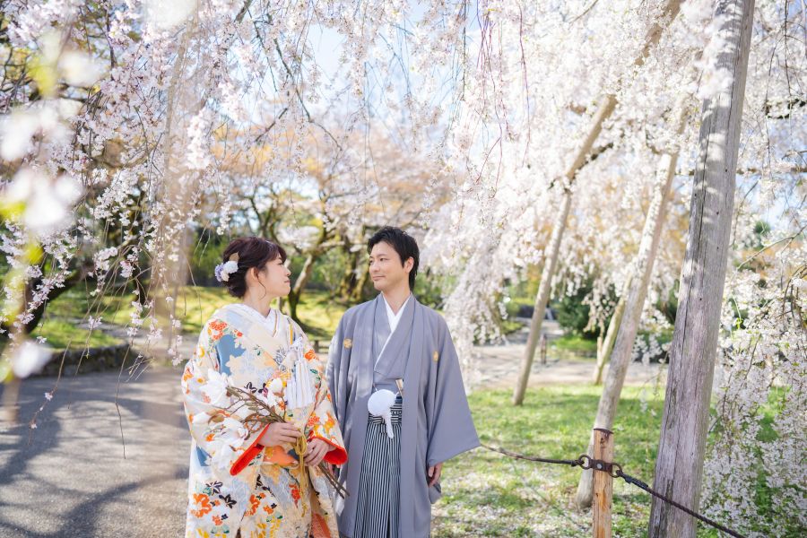 小さな結婚式を拠点にオススメロケーション撮影地【円山公園】円山公園の象徴である大きなしだれ桜は、満開になると 一本の桜とは思えないほどの存在感。