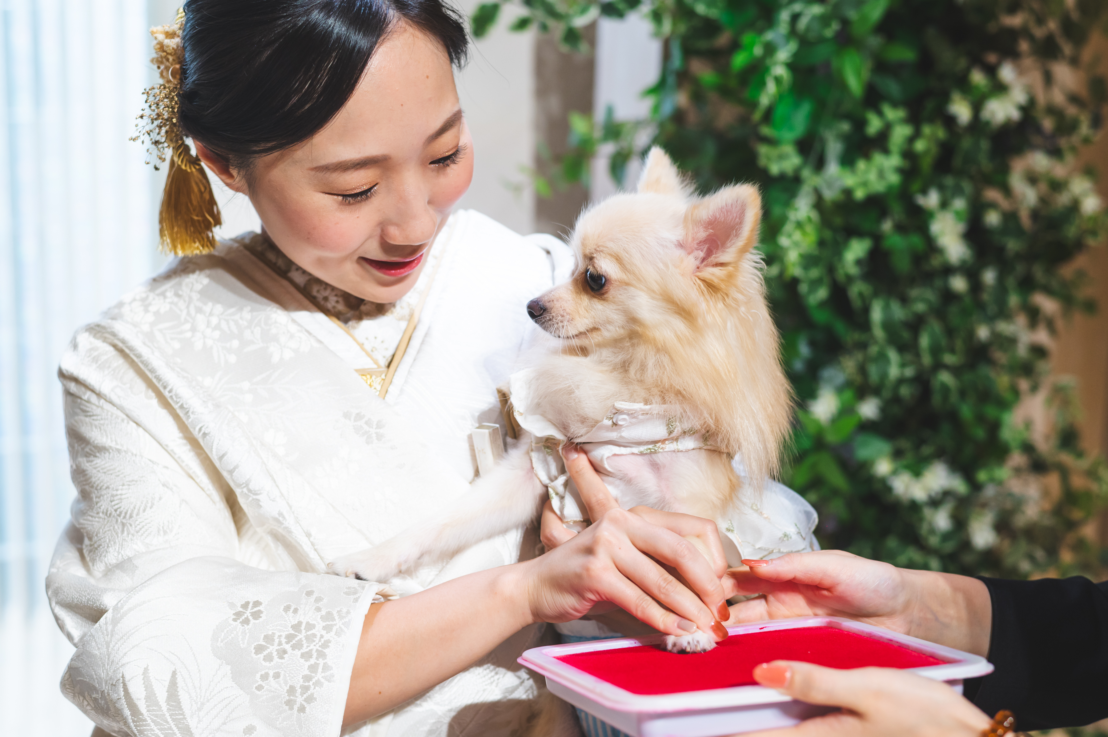 家族の一員であるペットも一緒にお写真ご撮影いただけます。
セレモニーフォトでは誓約書に肉球スタンプで承認をいただいていたり、
前撮りでは結婚式で叶わなかった、リングドッグ等もご実施いただけます◎
もちろん抱っこ等、どんなポーズでもＯＫです！