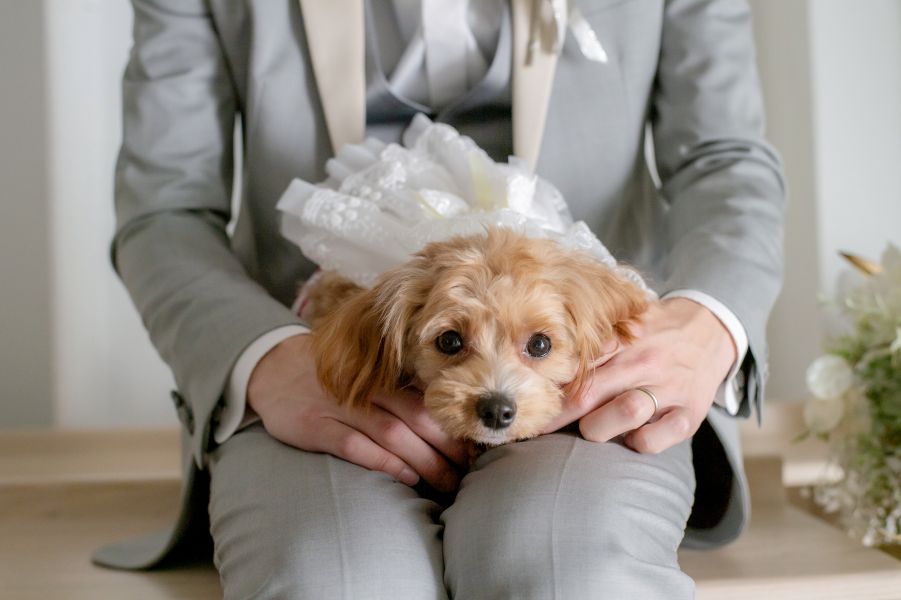 小さな結婚式 福岡スタジオ