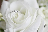 大切な日は是非、小さな結婚式で!!