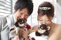 スタッフの方全員のサポート