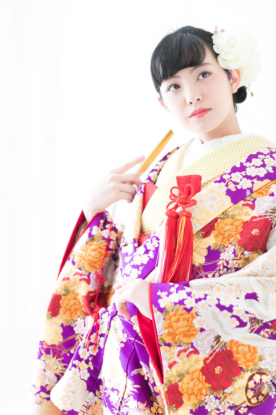 献上梅花飛翔鶴(色打掛)