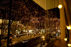 <年に1度のロマンチックシーズン＞ページェント挙式